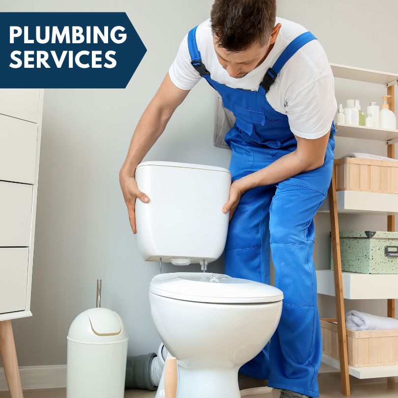 Plumbing Company in Bellingham, WA